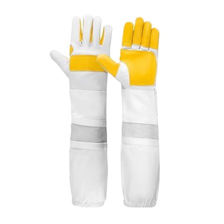 Bee Gloves_NCI-3207_141_2.jpg